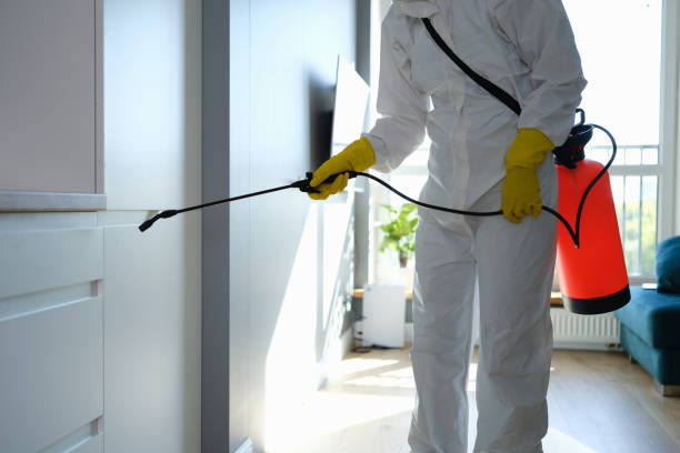 Best Home Mold Removal  in Commerce, TX