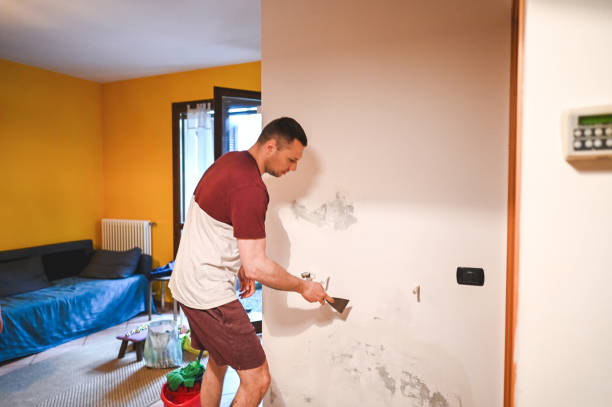Commerce, TX Mold Removal Company